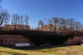 DSC_4098