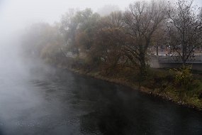 DSC_2480