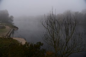 DSC_2485