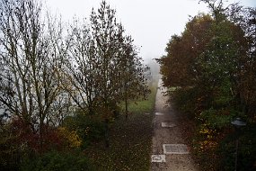 DSC_2487