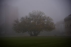 DSC_2507