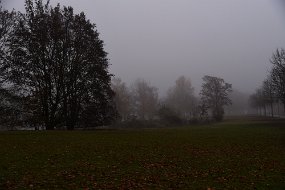 DSC_2512