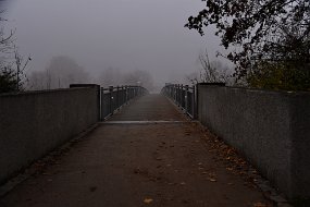 DSC_2513