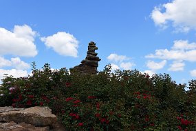 DSC_1036