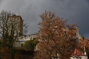 DSC_2880
