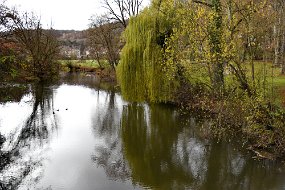 DSC_2888