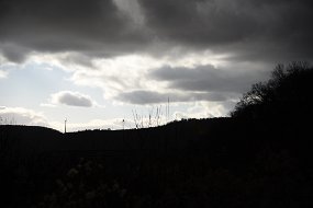 DSC_2898