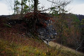 DSC_2905