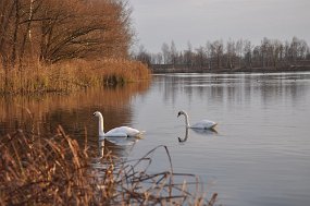DSC_0596
