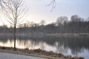 DSC_0646