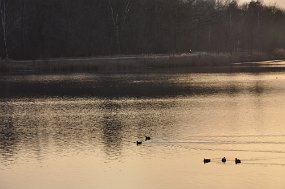 DSC_0676