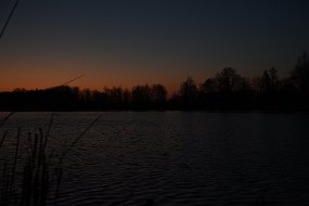 DSC_0589
