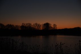DSC_0599