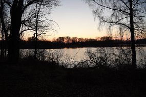 DSC_0650
