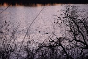 DSC_0651
