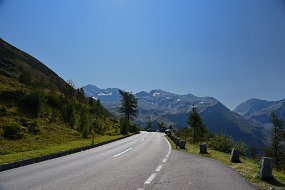 DSC_1931