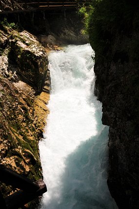 DSC_2905