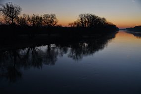 DSC_3975