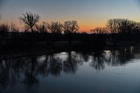 DSC_3984